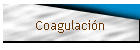 Coagulacin
